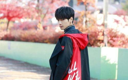 娱乐大爆料罗云熙,娱乐大爆料中的璀璨星辉  第3张